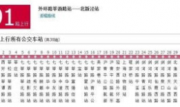 上海公交91路视频直播,上海公交91路沿线风景直播全景
