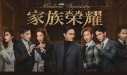 电视剧家演员表,实力派齐聚，演绎家族风云
