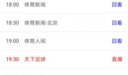 成品91app直播大全,一站式观看热门直播平台攻略