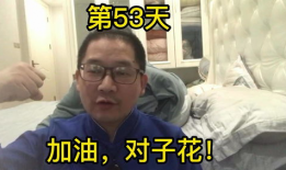 金铲铲直播91,揭秘热门游戏直播背后的精彩故事