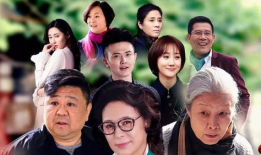 电视剧家演员表,实力派齐聚，演绎家族风云