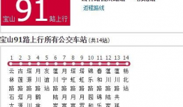 上海公交91路视频直播,上海公交91路沿线风景直播全景