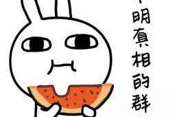 在网上吃瓜违法吗,法律边界与道德考量