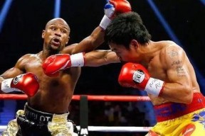 吃瓜娱乐拳击比赛直播视频