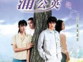 蒲公英电视剧,飘向何方的青春梦想