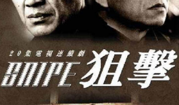 狙击 电视剧,生死对决，暗影中的守护者