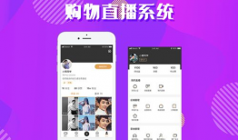 91av直播平台,揭秘热门直播平台的魅力与挑战