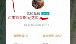 91钓鱼直播如何赚钱,揭秘钓鱼达人的财富之路