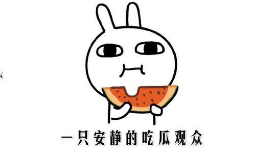 网络词吃瓜是什么意思啊,吃瓜背后的文化内涵